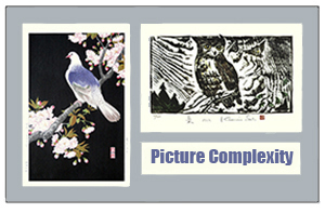 Picture Complexity Blog